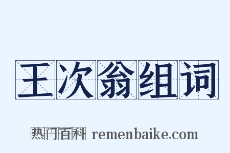 王次翁组词是什么意思的图片